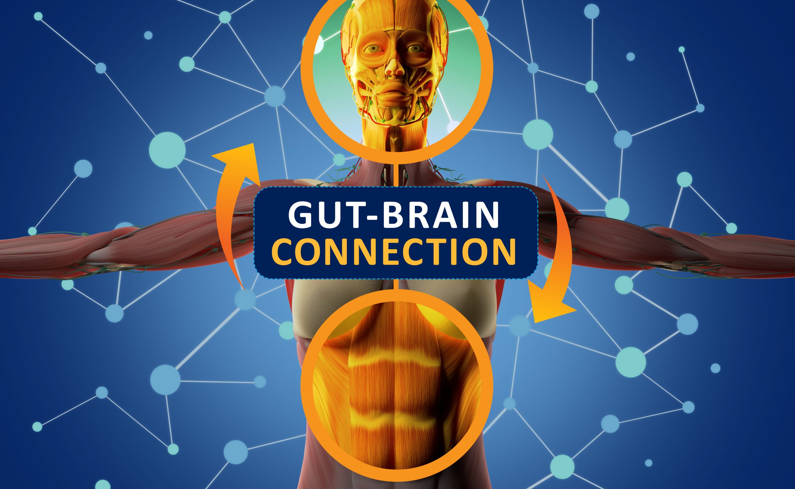 Gut brain connection
